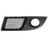 Griglia Sinistra Con Foro Fendinebbia