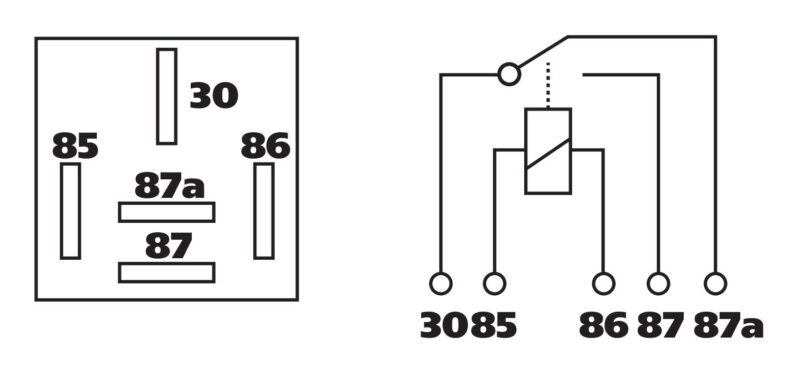Relè universale 24V - 40A - 5 contatti - immagine 2