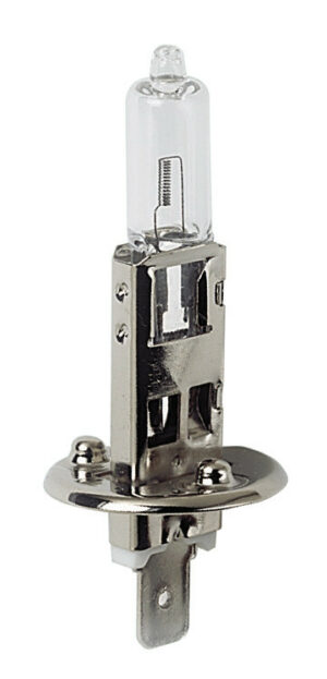 24V Lampada alogena - H1 - 70W - P14,5s - 1 pz  - D/Blister