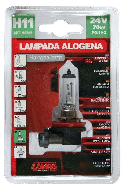 24V Lampada alogena - H11 - 70W - PGJ19-2 - 1 pz - D/Blister - immagine 4