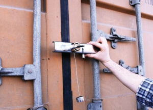 Zanna 2, lucchetto blocca-porte posteriore in acciaio cromato - immagine 2