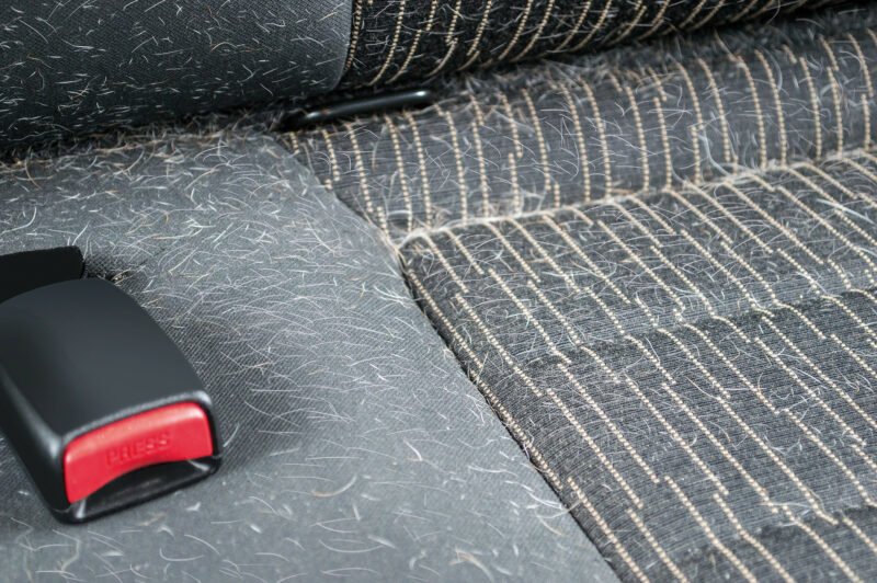Kit animali in auto, la soluzione contro le macchie, i peli e gli odori - 500+59 ml - immagine 2