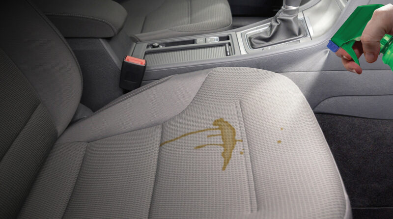 Kit animali in auto, la soluzione contro le macchie, i peli e gli odori - 500+59 ml - immagine 5